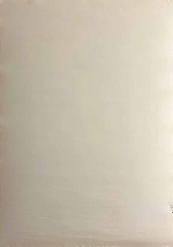 “Neon Genesis Evangelion: Death & Rebirth” (新世紀エヴァンゲリオン劇場版 シト新生), Original Release Japanese Movie Poster 1997, B2 Size (51 × 73 cm) O216