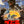 “The Return of Godzilla” (ゴジラ), Original Release Japanese Movie Poster 1984, B2 Size (51 × 73 cm) S73