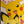 “Pokémon Heroes / Camp Pikachu”, Original Release Japanese B1 Advance / Roadshow Poster 2002, Rare Pikachu & Pichu Brothers Key Visual, B1 Poster Size (c.73cm × 103cm) BAK-A