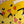 “Pokémon Heroes / Camp Pikachu”, Original Release Japanese B1 Advance / Roadshow Poster 2002, Rare Pikachu & Pichu Brothers Key Visual, B1 Poster Size (c.73cm × 103cm) BAK-A