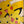“Pokémon Heroes / Camp Pikachu”, Original Release Japanese B1 Advance / Roadshow Poster 2002, Rare Pikachu & Pichu Brothers Key Visual, B1 Poster Size (c.73cm × 103cm) BAK-A