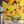 “Pokémon Heroes / Camp Pikachu”, Original Release Japanese B1 Advance / Roadshow Poster 2002, Rare Pikachu & Pichu Brothers Key Visual, B1 Poster Size (c.73cm × 103cm) BAK-A