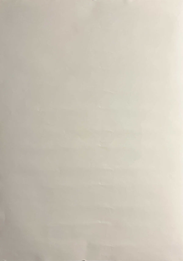 “Neon Genesis Evangelion” (新世紀エヴァンゲリオン / Neon Genesis Evangelion), Original Japanese Promotional Poster 1997, B2 Size (51 × 73 cm) S120