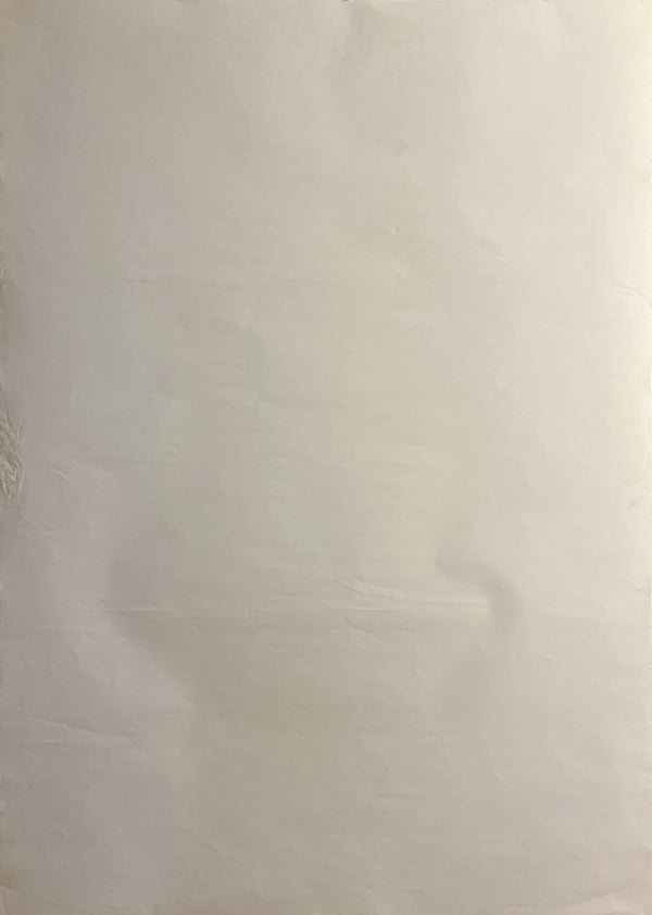 “Die Hard 2” (ダイ・ハード2), Original First-Release Japanese Movie Poster 1990, Rare B1 Size (72.8 × 103 cm) GA31