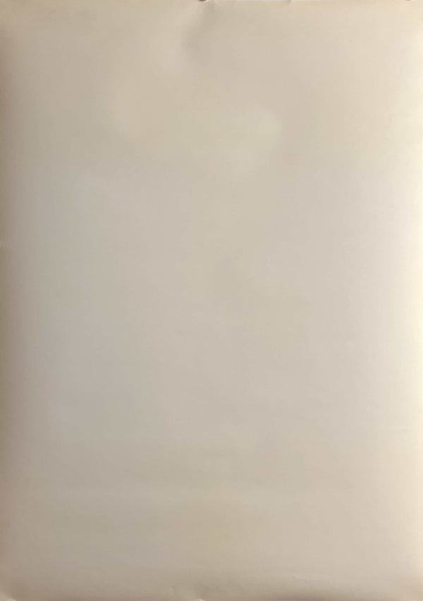"Princess Mononoke" (もののけ姫), Original Japanese First-Release Teaser Movie Poster 1997, B2 Size (51 × 73 cm) S151