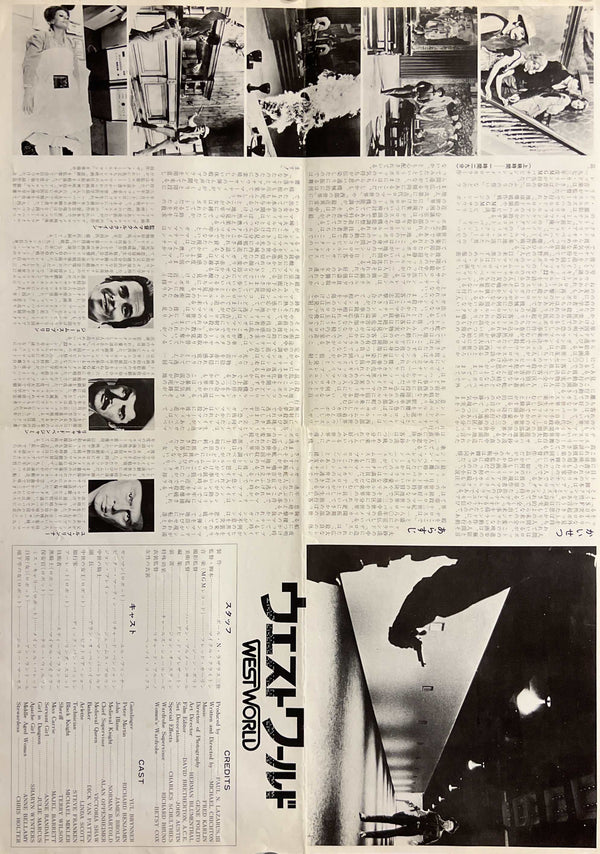 "Westworld" (ウエストワールド), Original Japanese First-Release Movie Poster 1973, B3 Size (36 × 51 cm) S285
