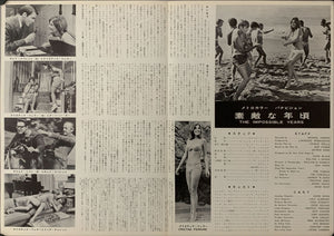 "The Impossible Years", Original Release Japanese Movie Poster 1968, B3 Size (36 x 50 cm) A235