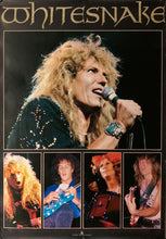 Load image into Gallery viewer, &quot;Whitesnake&quot;, Original Release Japanese Music Poster 1980`s, (60 x 85 cm) B12
