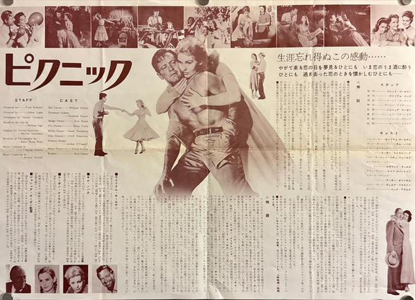 “Picnic” (ピクニック), Original Japanese Re‑Release Movie Poster 1966, B3 Size (c. 36 × 51 cm) O425