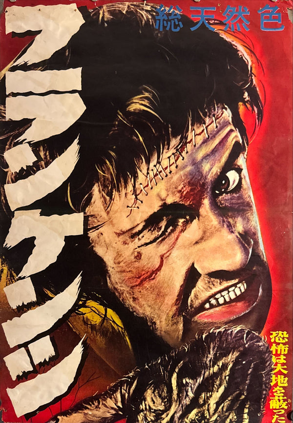 “THE REVENGE OF FRANKENSTEIN”, Original Release Japanese Movie Poster 1958, STB Tatekan (51 × 145 cm) — Ultra Rare