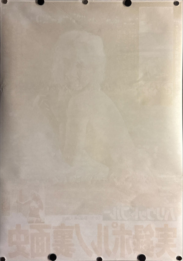 “Hollywood Blue” (ハリウッド・ブルー／実録ポルノ裏面史), Original Release Japanese Movie Poster 1973, B2 Size (51 × 73 cm) ZA251