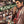 “Yakuza 5” (龍が如く5 夢、叶えし者), Original Japanese Video Game Promotional Poster 2012, Nagoya Version, SEGA / PlayStation 3, B2 Format (c. 51 × 73 cm) — T142
