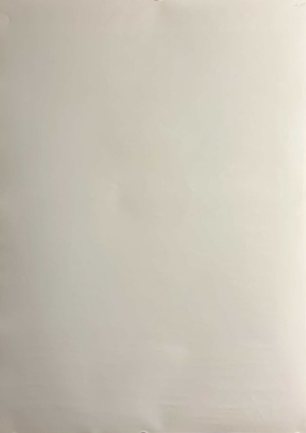 “STAR WARS: EPISODE I – THE PHANTOM MENACE / QUEEN AMIDALA × JAPANESE ENVIRONMENT AGENCY”, Original Japanese Government Environment Month Tie-Up Poster 1999, B2 Size (c.51.5 × 72.8 cm) T186