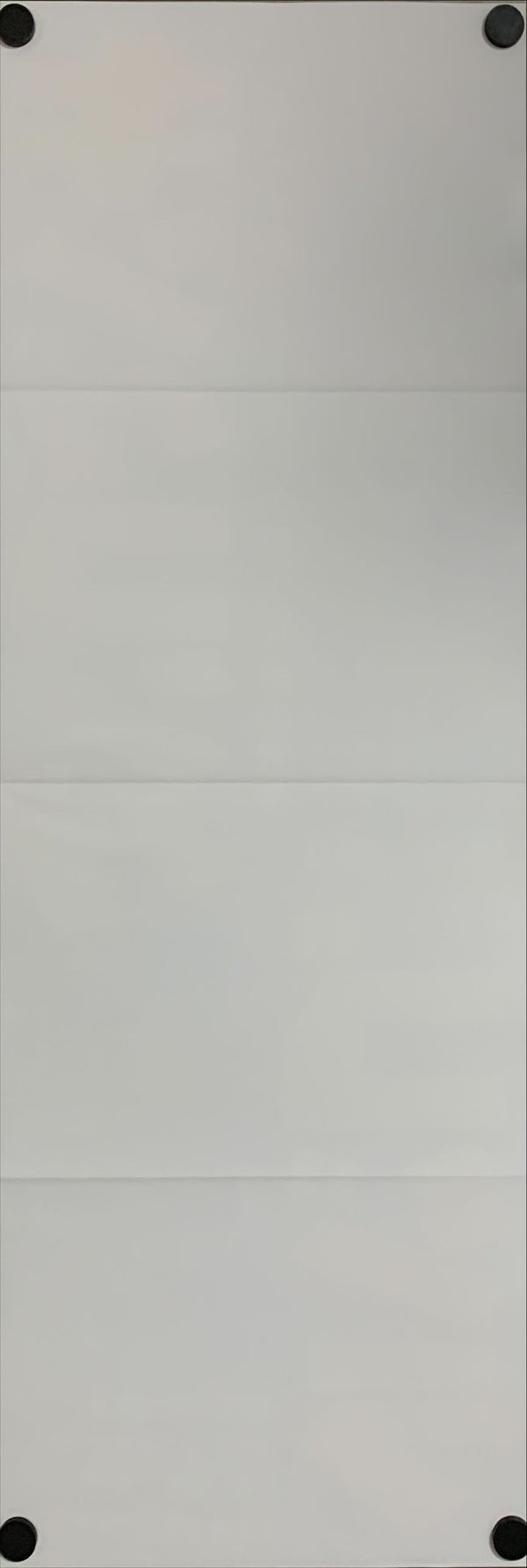 "Godzilla vs. King Kong", Original DVD Release Japanese Poster 2016, Speed Poster Size (26 cm x 73 cm) C126