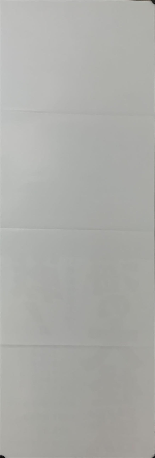 "Space Amoeba", Original DVD Release Japanese Poster 2016, Speed Poster Size (26 cm x 73 cm) C132