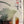 “Godzilla Minus One” / 「ゴジラ−1.0」, Original Japanese BOAT RACE Ashiya Promotional Tie-In Poster 2023, Rare, B1 Size (73 × 103 cm)