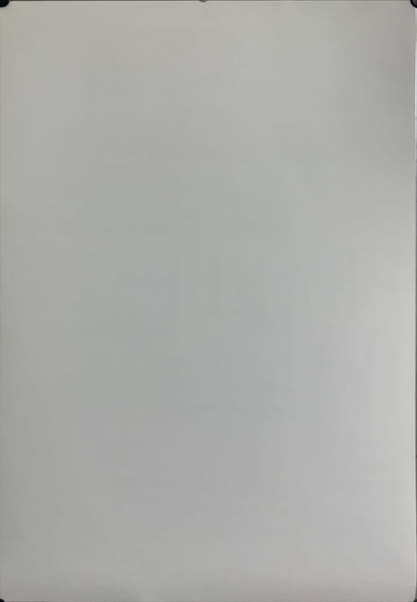 "Frances Ha", Original Release Japanese Movie Poster 2012, B2 Size (51 x 73cm) C238