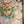 “DEMON SLAYER: KIMETSU NO YAIBA – DOMA” – Original ufotable DINING “W Chance” B2 Genga Prize Poster, Entertainment District Arc Phase 4 (2022), NOT FOR SALE — Holy Grail Rarity  ZA210