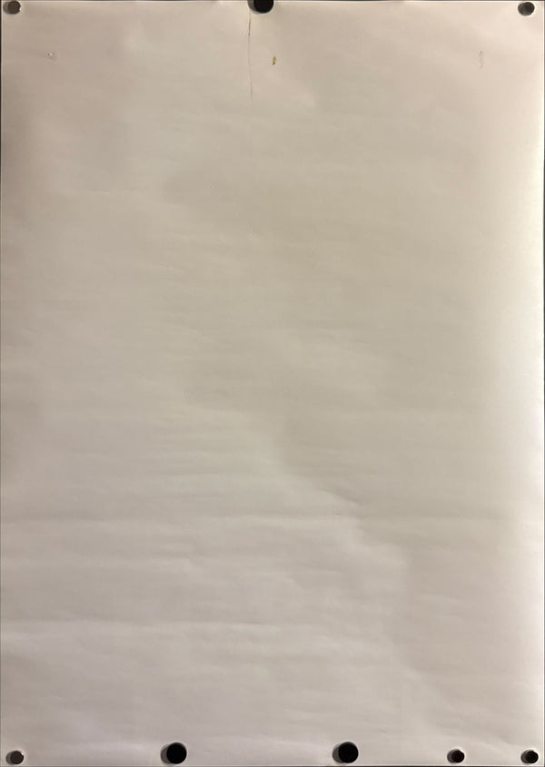 “Wasabi” (ワサビ), Original Release Japanese Movie Poster 2002, B2 Size (51 × 73 cm) ZA342