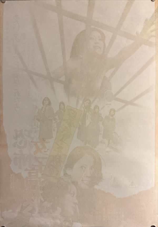 "Terrifying Girls' High School: Lynch Law Classroom", Original Release Japanese Movie Poster 1973, B2 Size (51 x 73cm) M4