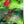 “ARRIETTY / 借りぐらしのアリエッティ”, ORIGINAL JAPANESE DOUBLE-SIDED B1 ROADSHOW THEATRICAL POSTER 2010, Ultra Rare, B1 Size (c. 72.8 x 103cm)
