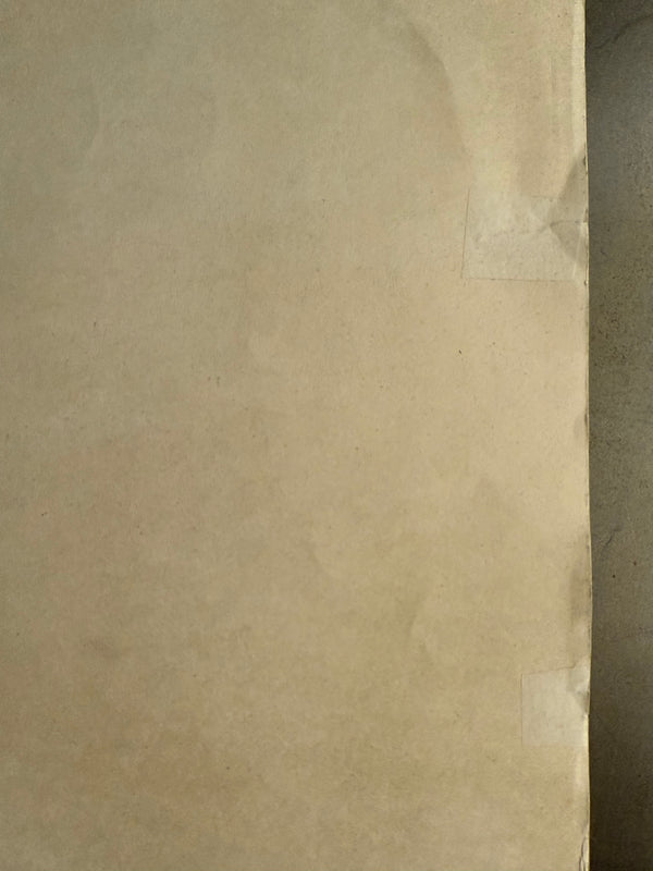 “Le Samouraï” (サムライ), Ultra-Rare Original Japanese First-Release Movie Poster 1968 (film 1967), B2 Size (51 × 73 cm) P34