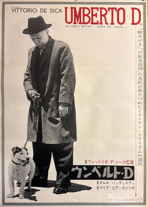 “Umberto D.” (ウンベルトD), Original Japanese Re-Release Movie Poster 1962, B2 Size (51 × 73 cm) I71