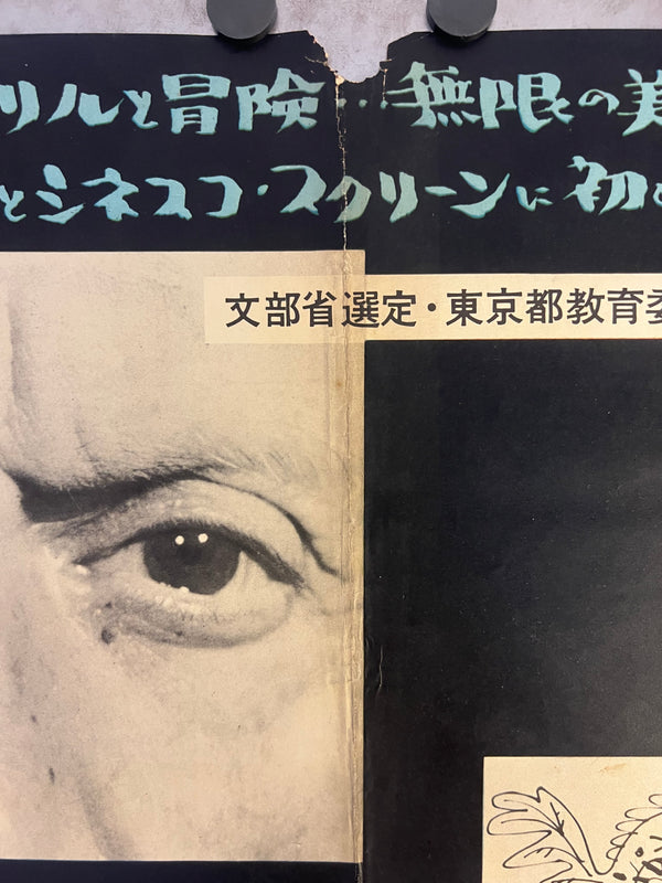 "The Mystery of Picasso", Original Release Japanese Movie Poster 1956, B2 Size (51 x 73cm) K156