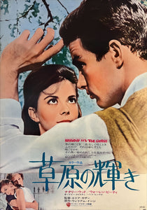 "Splendor in the Grass", Original Re-Release Japanese Movie Poster 1972, B2 Size (51 x 73cm) K167