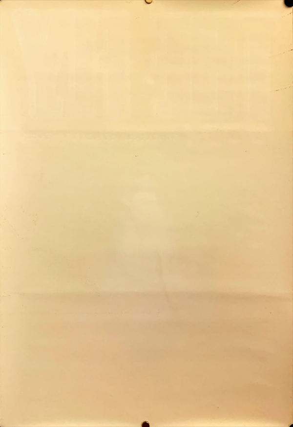 "The Fly", Original Release Japanese Movie Poster 1986, B2 Size (51 x 73cm) F28