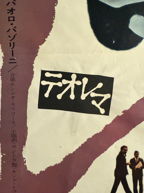 “Teorema” (テオレマ), Original Release Japanese Movie Poster 1970 (film 1968), Ultra Rare, STB Size (51 x 145cm) O247