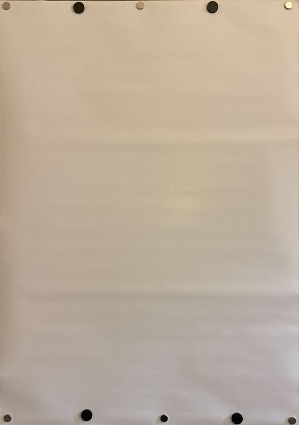 “Awesome; I Fuckin’ Shot That!” (ビースティ・ボーイズ 撮られっぱなし天国), Original Release Japanese Movie Poster 2006, B2 Size (51 × 73 cm) O544