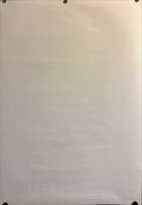 “2 Days in Paris” (パリ、恋人たちの2日間), Original Release Japanese Movie Poster 2007, B2 Size (51 × 73 cm) O555