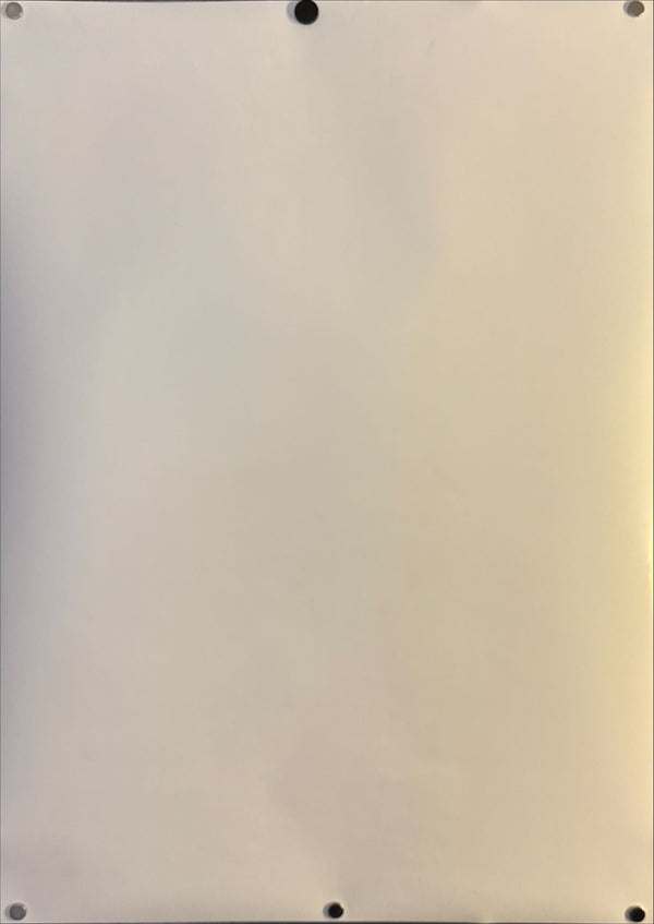 "Evangelion: 3.0 You Can (Not) Redo", Original Release Japanese Movie Poster 2012, B2 Size (51 x 73cm) G191 A