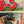 “Shane” (シェーン), Original Japanese First-Release Movie Poster 1953, Ultra-Rare Paramount B2, First Release, B2 Size (51 × 73 cm)