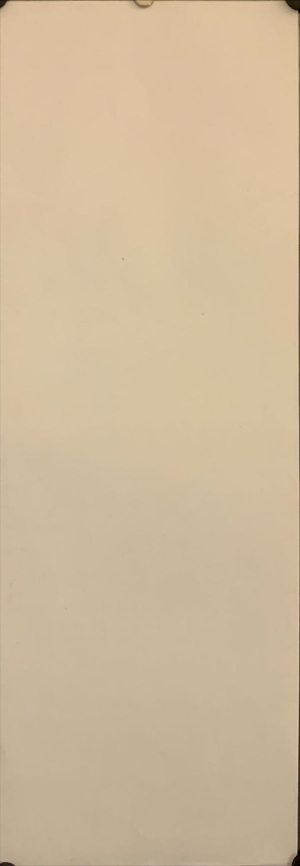 "Gamerar", Original Video Release Japanese Poster 1980`s, Speed Poster Size (19 cm x 52 cm) G120