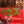 “House” (ハウス), Original Release Japanese Movie Poster 1977, B2 Size (51 × 73 cm) P106