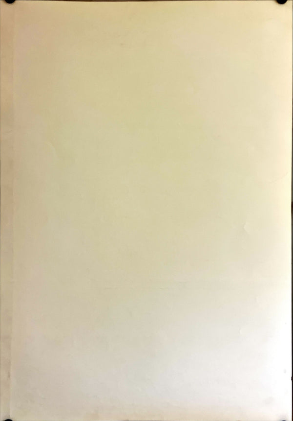 "Spirited Away", Original DVD Release Japanese Movie Poster 2001, B2 Size (51 x 73cm) H285