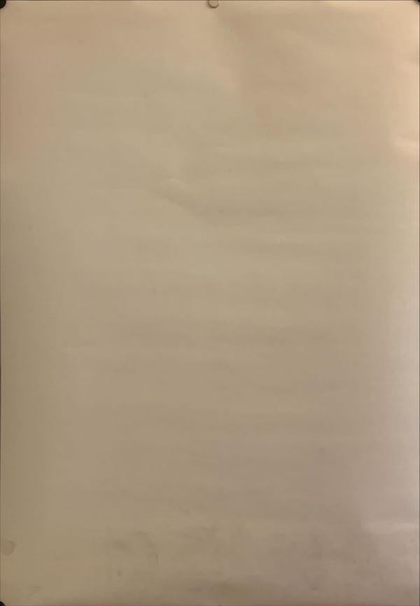 "Neon Genesis Evangelion: Death & Rebirth", Original Release Japanese Movie Poster 1997, B2 Size (51 x 73cm) H81