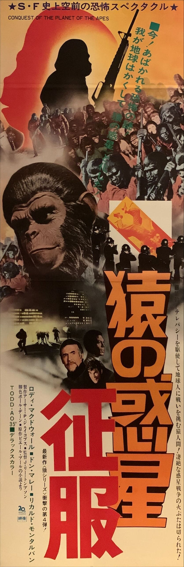"Conquest of the Planet of the Apes", Original Release Japanese Movie Poster 1972, Rare, STB Size (51x145cm) H104