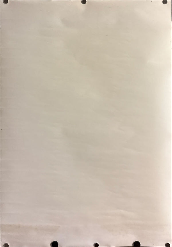 "Princess Mononoke (もののけ姫)", Original Japanese DVD Release Promotional Poster 1997, B2 Size (51 × 73 cm) ZA507