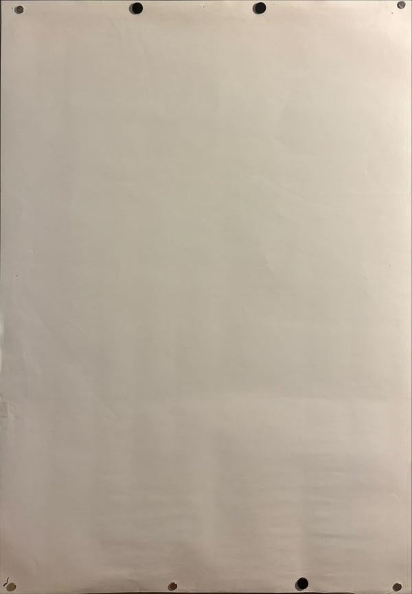 “Mutant Turtles” (ミュータント・タートルズ), Ultra‑Rare Original Japanese B1 Movie Poster 1990, B1 Size (c. 72 × 103 cm)