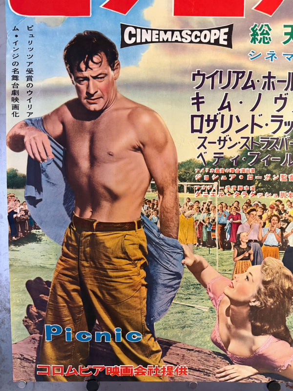 "Picnic", Original Release Japanese Movie Poster 1956, Very Rare, B2 Size (51 × 73 cm) N247