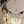 “Princess Mononoke” (もののけ姫), Original First Release Japanese Movie Poster 1997, B2 Size (51 × 73 cm) O708A