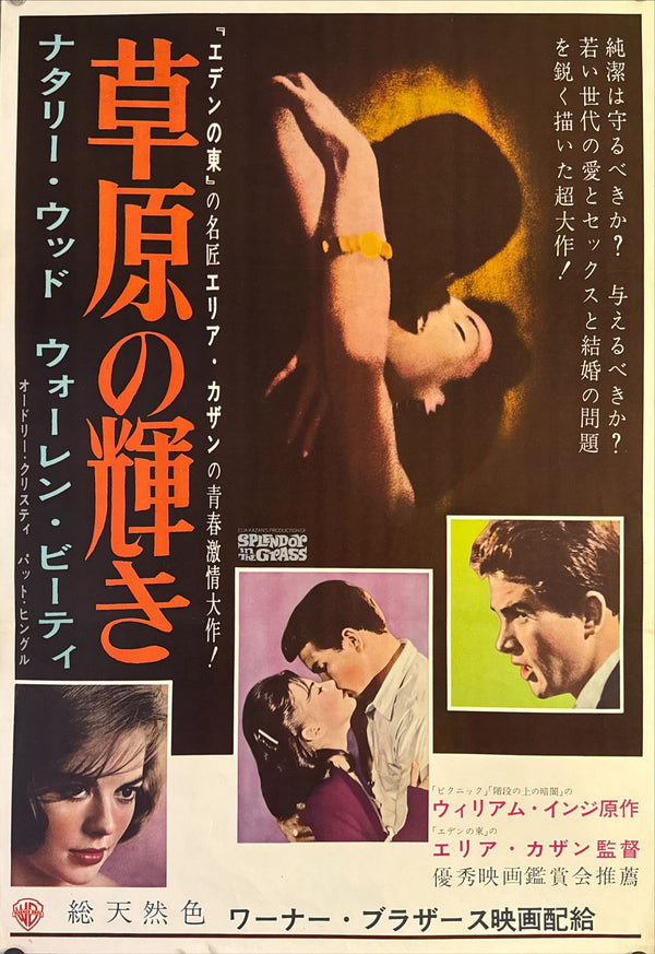 "Splendor in the Grass", Original Release Japanese Movie Poster 1961, B2 Size (51 x 73cm) M19