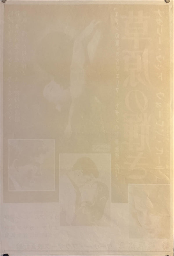 "Splendor in the Grass", Original Release Japanese Movie Poster 1961, B2 Size (51 x 73cm) M19