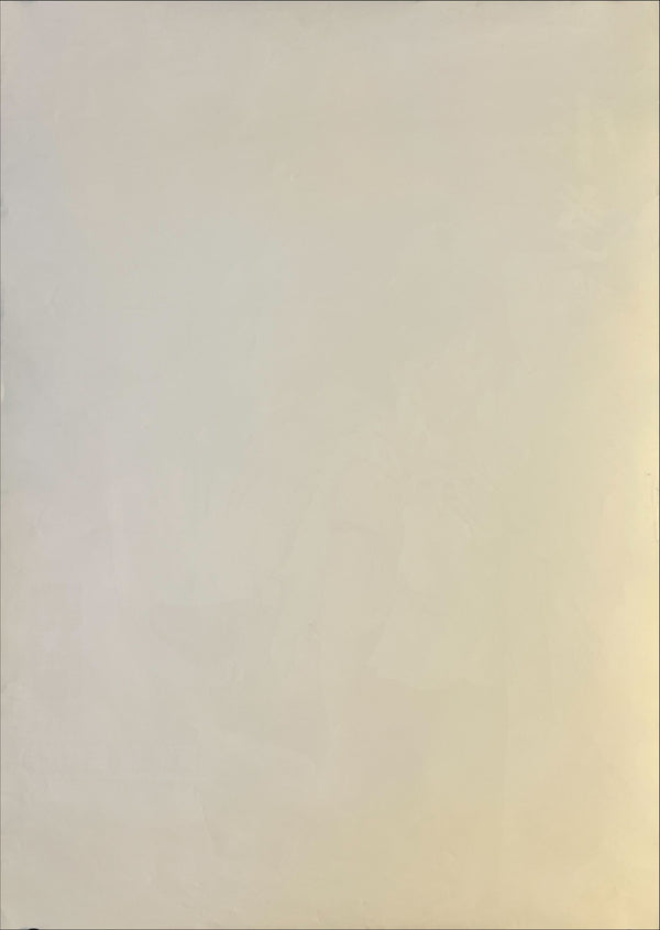 "Princess Mononoke", Original First Release Japanese Movie Poster 1997, B2 Size (51 x 73cm) G177