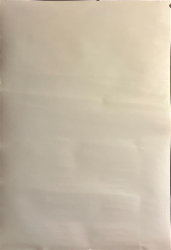 "Memento" (メメント), Original Japanese B2 Home‑Video Release Poster 2001, B2 Size (51 × 73cm) ZA624