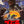 “The Return of Godzilla” (ゴジラ), Original Release Japanese Movie Poster 1984, B2 Size (51 × 73 cm) O433