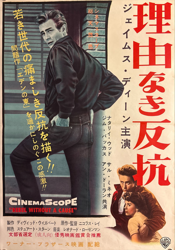 "Rebel Without a Cause", Original First Release Japanese Movie Poster 1956, Ultra Rare, B2 Size (51.5 × 72.8 cm) P276